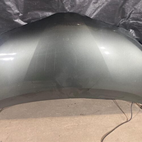 2018 TOYOTA SIENNA HOOD – 1963660