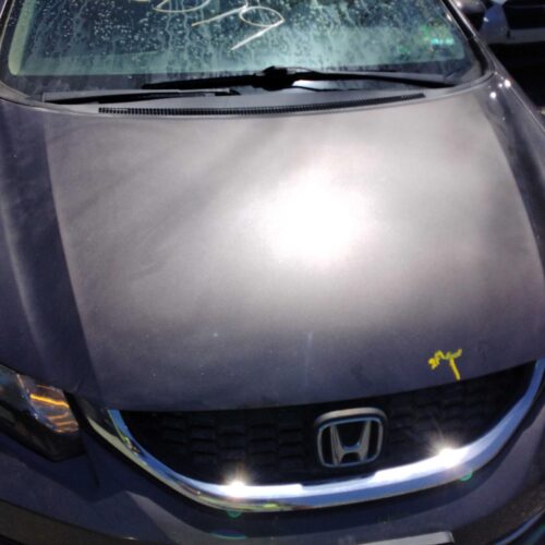 2014 HONDA CIVIC HOOD – 1003356640