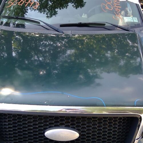 2008 FORD FORD_F150_PICKUP HOOD – 1196651
