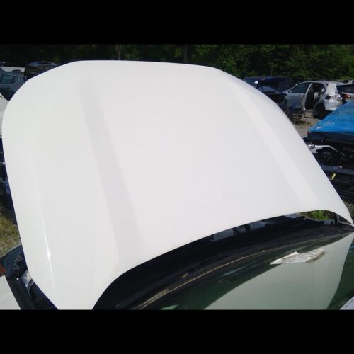 2019 TOYOTA RAV4 HOOD – 11718473