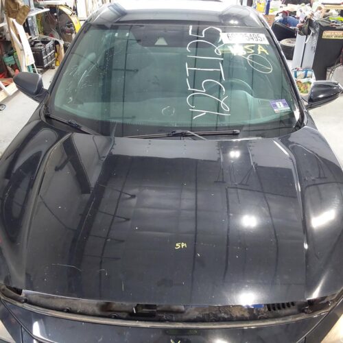 2019 HONDA CIVIC HOOD – 1003475946