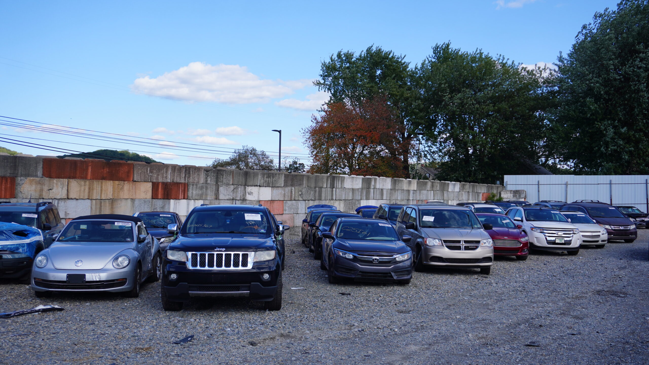 How do we choose which vehicles to buy?!