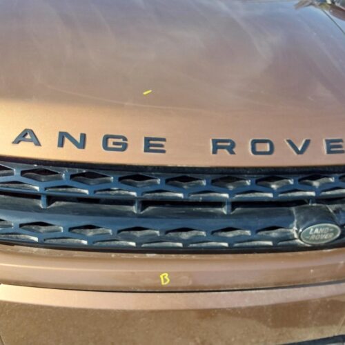 2015 LAND_ROVER EVOQUE GRILLE – 1003105528