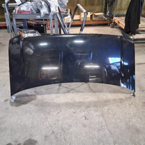 2016 FORD FORD_E350_VAN HOOD – 1590357