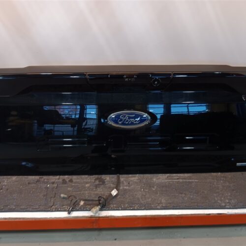 2021 FORD FORD_F150_PICKUP DECKLID TAILGATE – 1595382