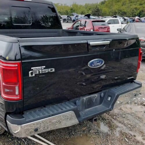 2016 FORD FORD_F150_PICKUP DECKLID TAILGATE – 1003077298