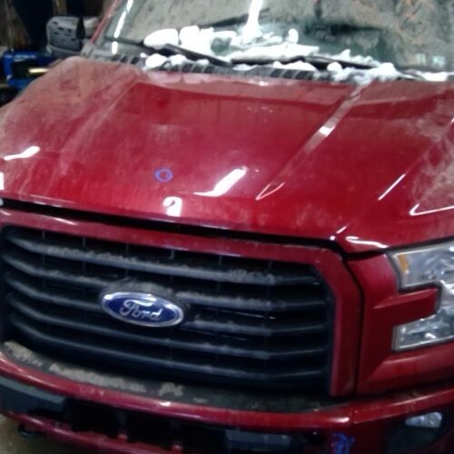 2015 FORD FORD_F150_PICKUP HOOD – 1302074