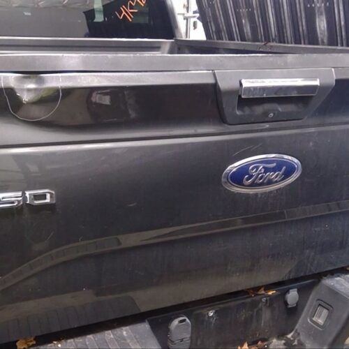 2015 FORD FORD_F150_PICKUP DECKLID TAILGATE – 1759670